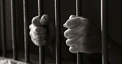 Representación Judicial