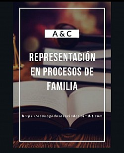 Abogado Socio