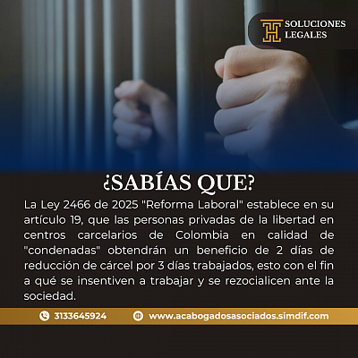 Abogado Asesor y Consultor
