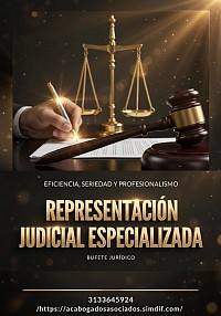 Debido Proceso